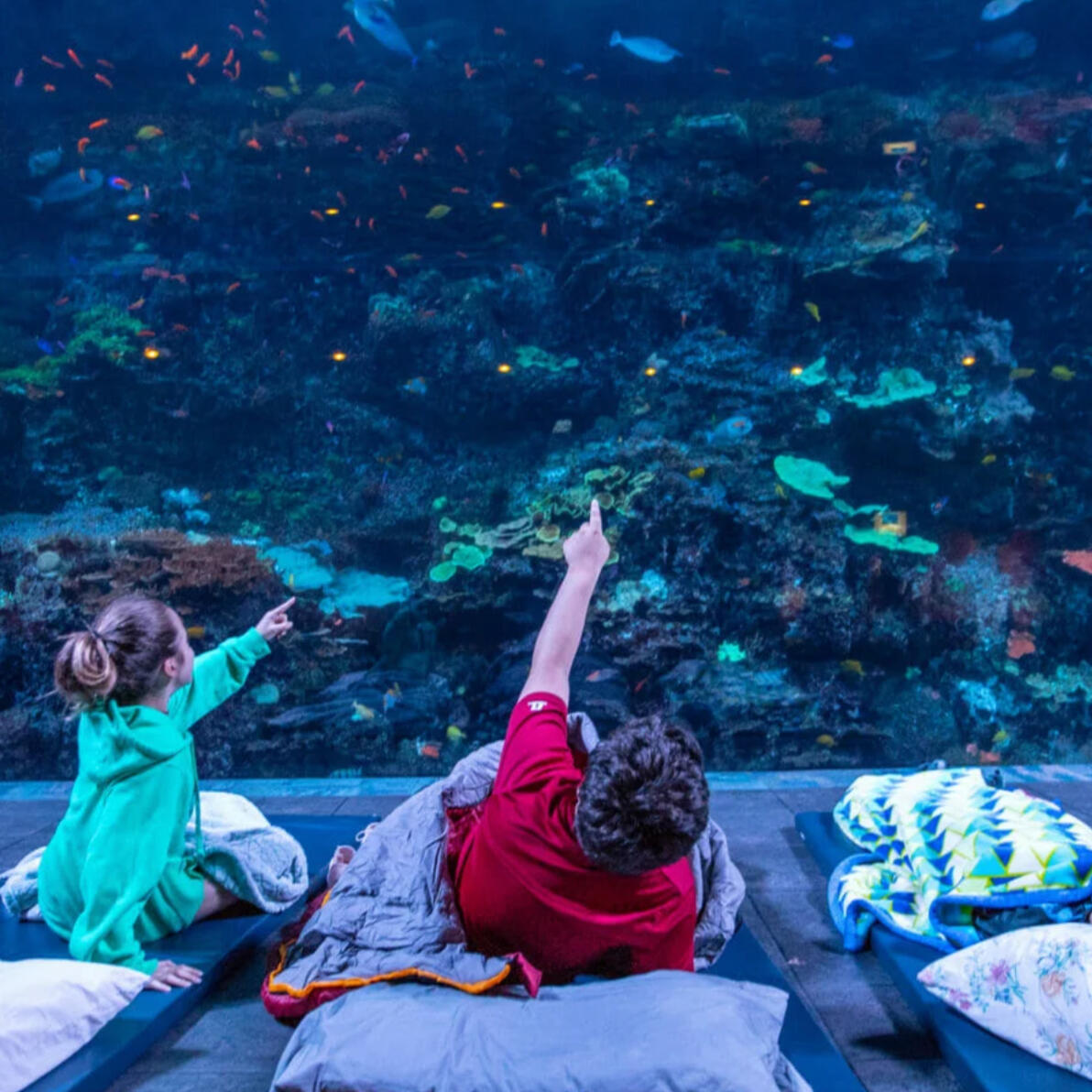 Georgia Aquarium